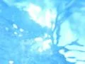 Underwater Ocean HS08 Slow Motion 240fps Footage