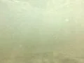 Underwater Ocean HS100 Slow Motion 240fps Footage