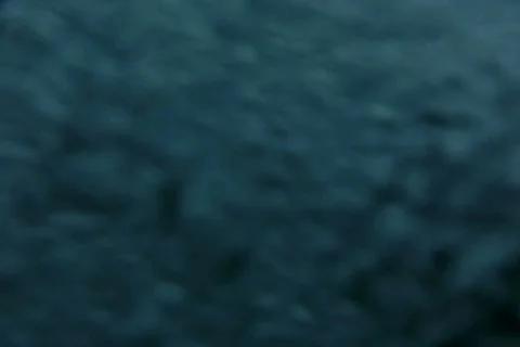Underwater Ocean HS101 Slow Motion 240fps Stock Footage