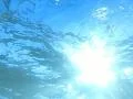 Underwater Ocean HS20 Slow Motion 240fps Footage