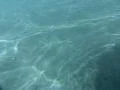 Underwater Ocean HS24 Slow Motion 240fps Footage