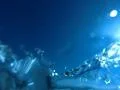 Underwater Ocean HS29 Slow Motion 240fps Footage
