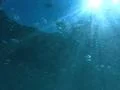 Underwater Ocean HS30 Slow Motion 240fps Footage
