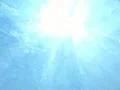 Underwater Ocean HS37 Slow Motion 240fps Footage