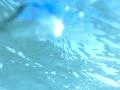 Underwater Ocean HS41 Slow Motion 240fps Footage
