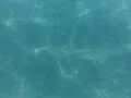 Underwater Ocean HS59 Slow Motion 240fps Footage