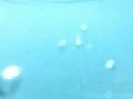 Underwater Ocean HS60 Slow Motion 240fps Footage