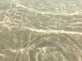 Underwater Ocean HS81 Slow Motion 240fps Footage