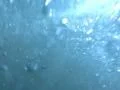 Underwater Ocean HS86 Slow Motion 240fps Footage