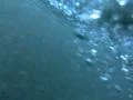 Underwater Ocean HS87 Slow Motion 240fps Footage