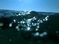 Underwater Ocean HS88 Slow Motion 240fps Footage