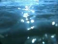Underwater Ocean HS95 Slow Motion 240fps Footage