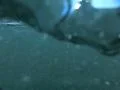 Underwater Ocean HS99 Slow Motion 240fps Footage