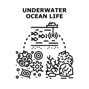 Underwater ocean life exploration ecosystem vector concept Stock Illustration