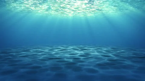 Underwater Ocean Scene Stock Footage 149156458