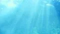 Underwater Ocean Sunlight 02 Slow Motion 96fps HD Footage