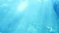 Underwater Ocean Sunlight 03 Slow Motion 96fps HD Footage