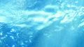 Underwater Ocean Sunlight 04 Slow Motion 96fps HD Footage