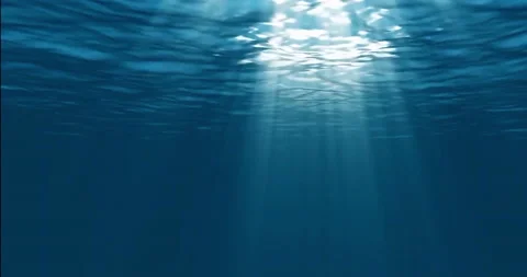 Underwater Ocean with Sunlight Filtering Through From Diver's Perspective Stock Footage 199267470