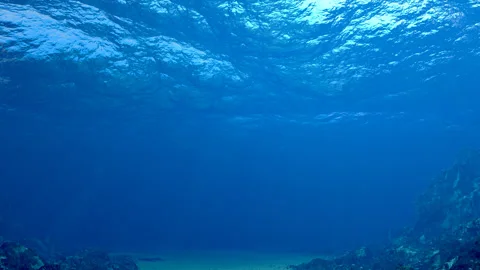 Underwater Ocean Surface Loop Stock Footage 345725687