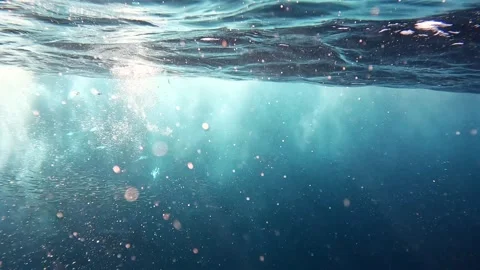Underwater ocean texture with distant sardines and Cape gannets during the .. Stock Footage 342324196