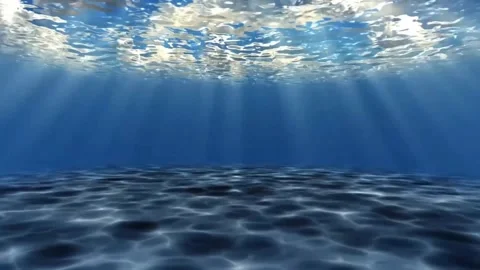 Underwater Ocean View Sun Rays Shining Through Sea Surface Sand Floor Stock Footage 274455122