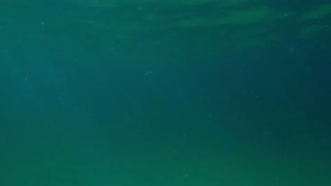 Underwater, in the open ocean, in the open sea by water, blue water Stock Footage 236168593