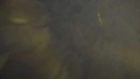 Underwater panic attack in the lake and algae Stock Footage 118243561