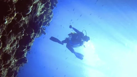 Underwater panoramic circle view of diver who swim over the rocky bottom Stock Footage 171375735