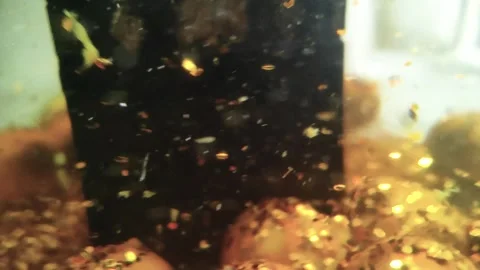 Underwater particles and bubbles, sparkles background footage Stock Footage 165085025