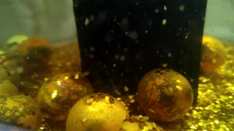 Underwater particles and bubbles, sparkles background footage Video stock 165085117