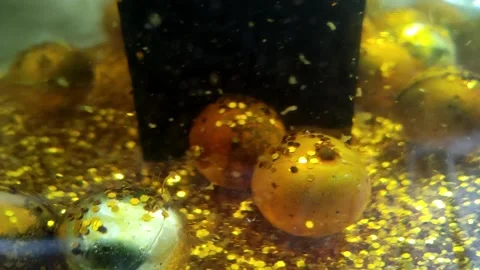 Underwater particles and bubbles, sparkles background footage Stock Footage 165085129