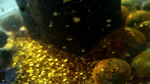 Underwater particles and bubbles, sparkles background footage Stock Footage 165085139