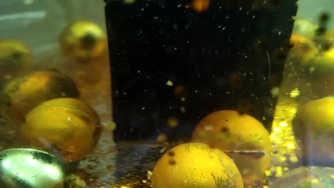 Underwater particles and bubbles, sparkles background footage Stock Footage 165085153