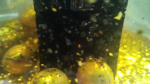 Underwater particles and bubbles, sparkles background footage Stock Footage 165085160