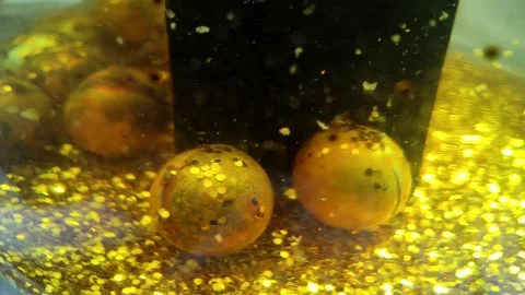 Underwater particles and bubbles, sparkles background footage Stock Footage 165085173