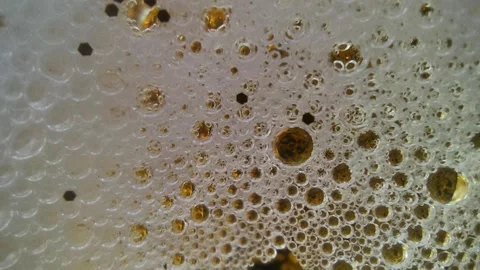 Underwater particles and bubbles, sparkles background footage Video stock 165085220