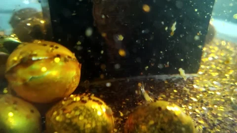 Underwater particles and bubbles, sparkles background footage Stock Footage 165085234