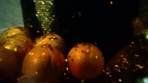 Underwater particles and bubbles, sparkles background footage Video stock 165085252