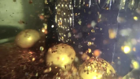 Underwater particles and bubbles, sparkles background footage Stock Footage 165085259