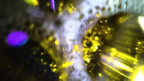 Underwater particles and bubbles, sparkles background footage Stock Footage 165085261