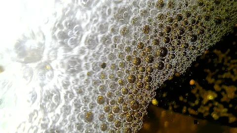Underwater particles and bubbles, sparkles background footage Stock Footage 165085280