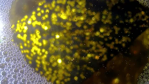 Underwater particles and bubbles, sparkles background footage Stock Footage 165085349