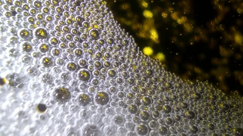 Underwater particles and bubbles, sparkles background footage Stock Footage 165085385