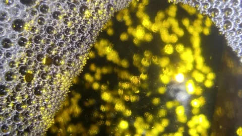 Underwater particles and bubbles, sparkles background footage Stock Footage 165085397