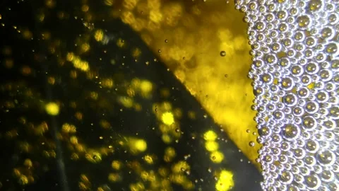 Underwater particles and bubbles, sparkles background footage Stock Footage 165085443