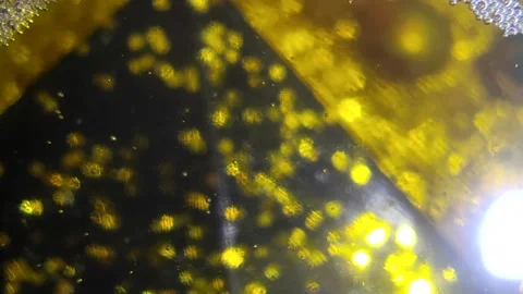 Underwater particles and bubbles, sparkles background footage Stock Footage 165085459