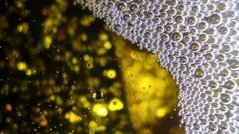 Underwater particles and bubbles, sparkles background footage Stock Footage 165085491