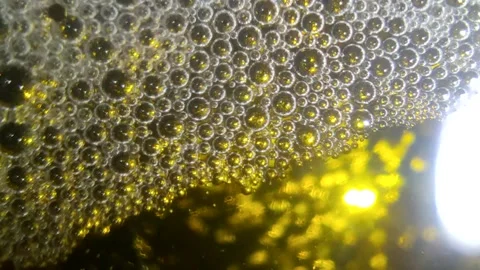 Underwater particles and bubbles, sparkles background footage Stock Footage 165085508