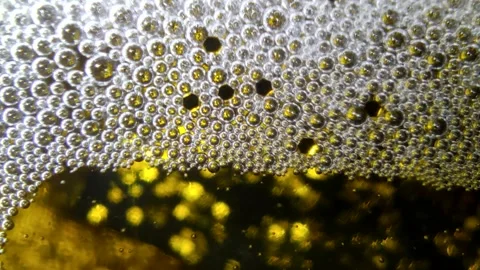 Underwater particles and bubbles, sparkles background footage Stock Footage 165085537